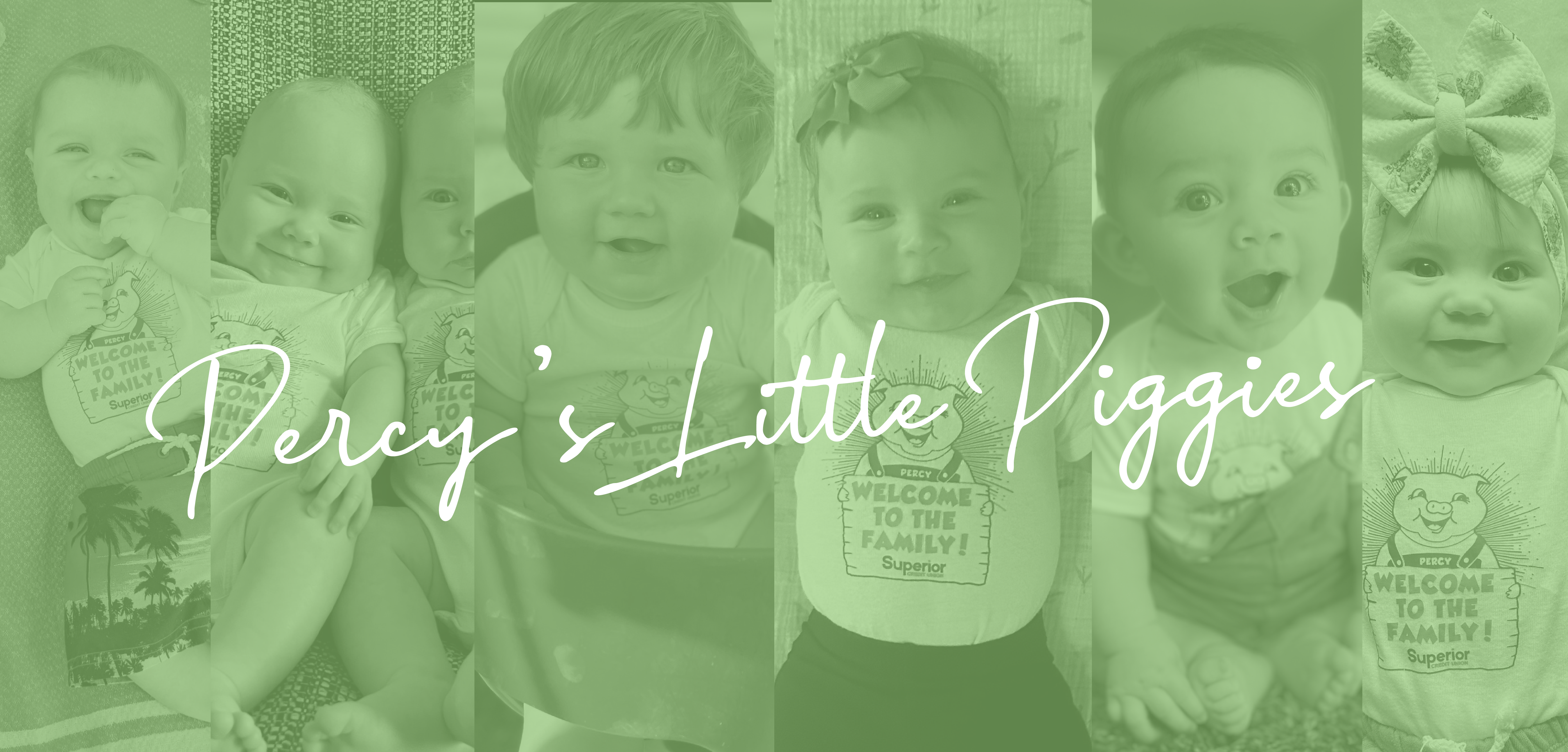 web banner-percy's little piggies